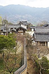 绝品透视第1294章武道