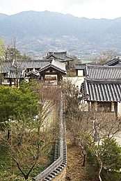 绝品透视第1294章武道